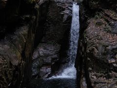 -鼎湖山风景区