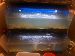 -温州炎亭海鲜阁(万塘路店)
