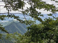 -天目山大树王景区