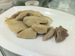 万岁清仁鸡-万年酒楼(越秀南路店)