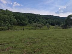 -芦芽山旅游度假区