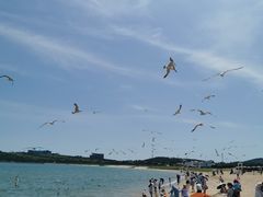 -海驴岛(荣成市)