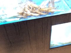 -太湖饭店玉兰厅(自助餐厅)