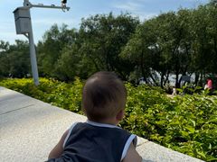 -宝安西湾红树林湿地公园