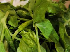 -清真·田园居家酸菜牛肉烤火锅(凤霞路店)