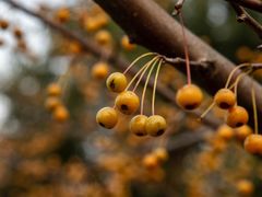 -长广溪湿地公园