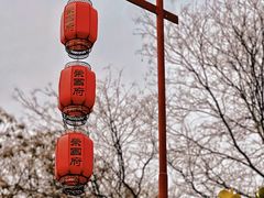 -荣国府