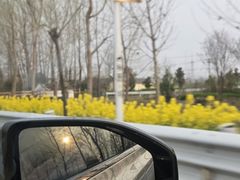 -欢喜哥齐齐哈尔自助烤肉(大学城店)