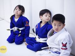 -菠萝格斗巴西柔术训练馆