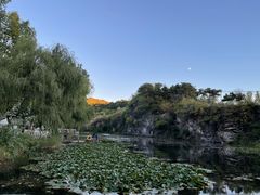 -紫海香堤香草艺术庄园