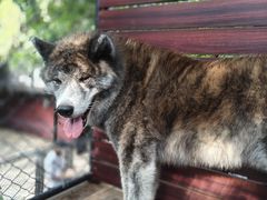 -TrueLove @ Neverland (Husky Cafe)