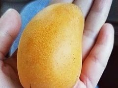 -叶氏兄弟(大连奥特莱斯店)