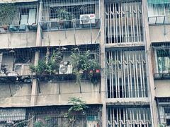 -共和老洪豆花草粿水粿