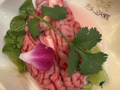 -王少龙火锅(五小区店)