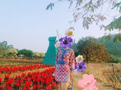 -南沙蒲洲花园