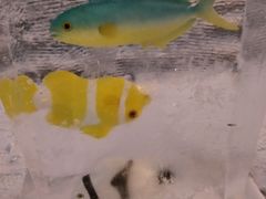 -长春公园(普阳街道)