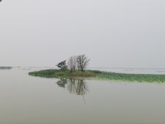 -微山湖红荷湿地景区