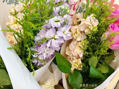 -美罗城