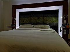 -郑州美豪诺富特会展中心酒店
