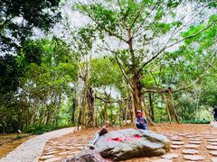 -中国科学院西双版纳热带植物园