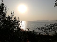 -上海市保健医疗中心(华东疗养院)