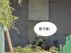 -沈阳森林动物园