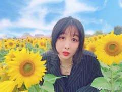 -映月湖中央公园