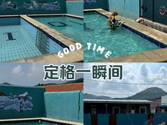 -趣玩宠物乐园寄养训犬训狗游泳池