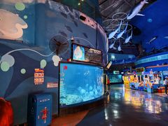 -烟台海昌鲸鲨海洋公园