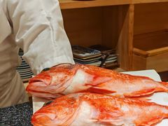 -镹·鱼料理  国产鱼使用店