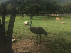 -西安秦岭野生动物园