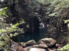 -祁门牯牛降观音堂风景区