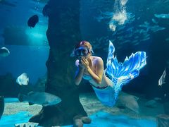 -北戴河圣蓝海洋公园