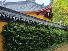 -丝绸小镇荻港古村