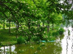 -浙江农林大学(东湖校区)