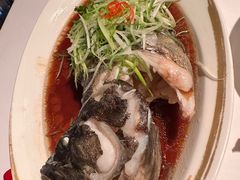 -金轩中餐厅 Jin Xuan(浦东丽思卡尔顿酒店)