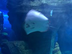 -多彩贵州城极地海洋世界