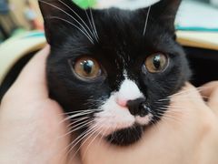 -瑞派康怡24h宠物医院·犬猫医疗中心·微创绝育(瑞景分院)