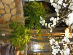 android_upload_pic-春天里·老街坊餐厅(港隆广场店)