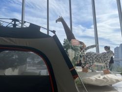 -IMON·HANSA潮玩玩偶毛绒玩具(通州万象汇店)