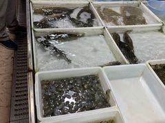 -彭盛菜市场