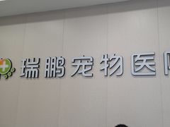 -瑞鹏宠物医院·骨科·猫科·内科(第一中心)