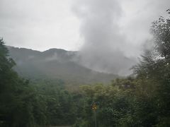 -黎坪国家森林公园