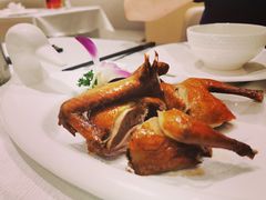 红烧乳鸽-光明招待所(邦凯科技园店)