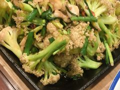 -邵年鸽(杨庄店)