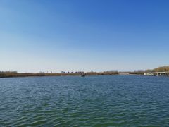 -大兴滨河森林公园