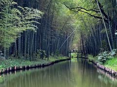 -同里国家湿地公园