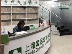 -爱侣宠医·鹦鹉专科·小型哺乳类·异宠专科(灵石路店)