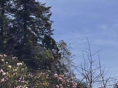 -九峰山