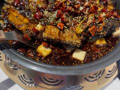 -锦尚阁烤鱼(望京新荟城店)